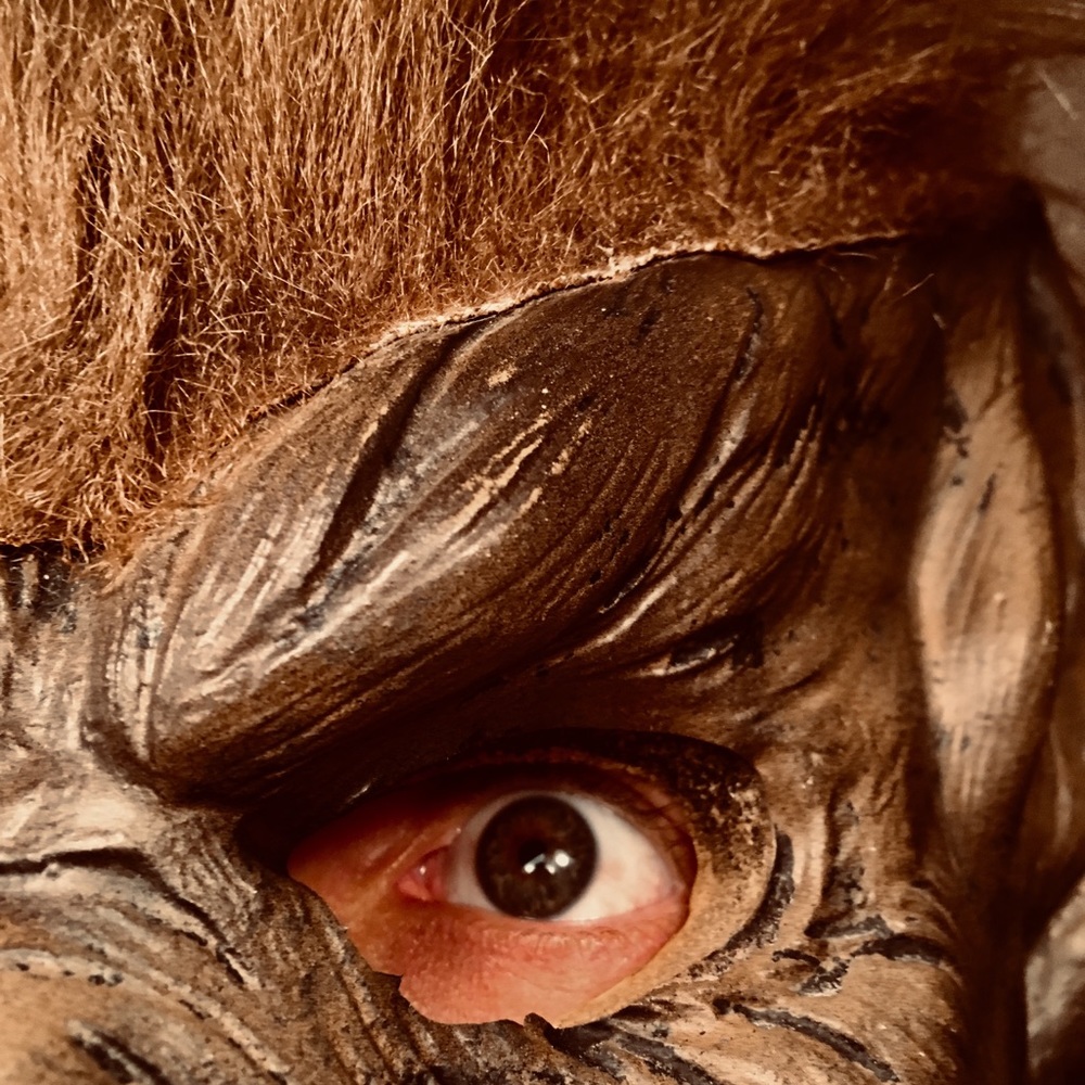 Meet your Posher, Wolfie